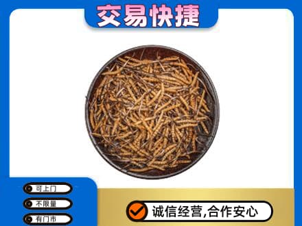 红河礼品回收虫草.jpg