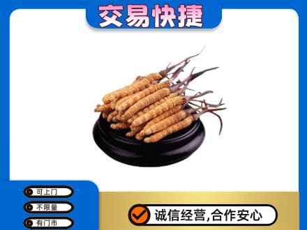 红河礼品回收散虫草.jpg